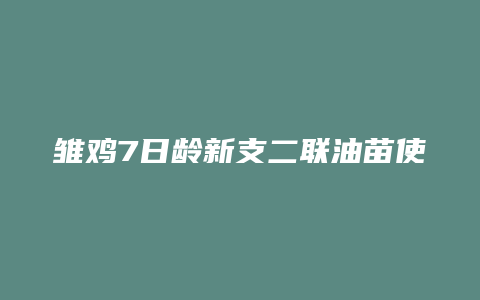 雏鸡7日龄新支二联油苗使用方法