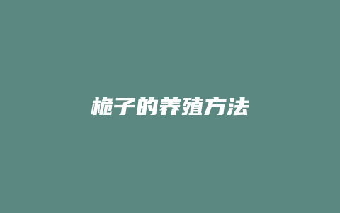 桅子的养殖方法