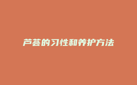 芦荟的习性和养护方法