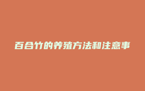 百合竹的养殖方法和注意事项