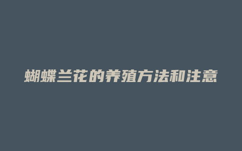 蝴蝶兰花的养殖方法和注意事项