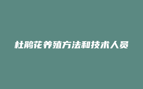 杜鹃花养殖方法和技术人员