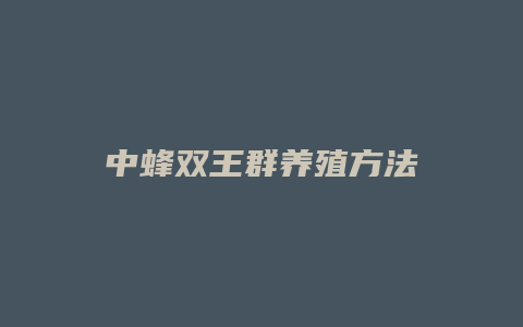 中蜂双王群养殖方法