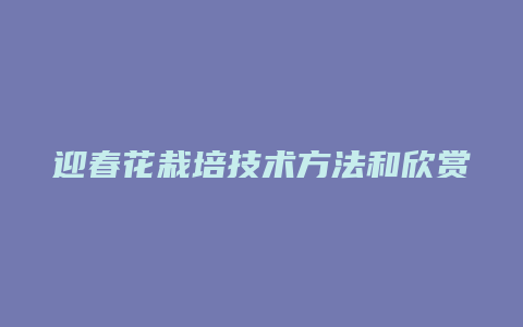 迎春花栽培技术方法和欣赏