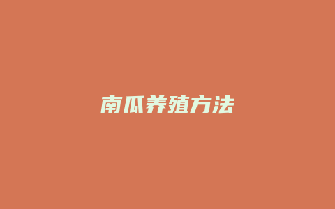 南瓜养殖方法