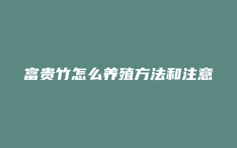 富贵竹怎么养殖方法和注意事项