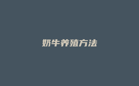 奶牛养殖方法