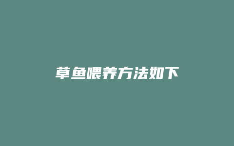 草鱼喂养方法如下