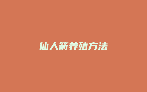 仙人箭养殖方法