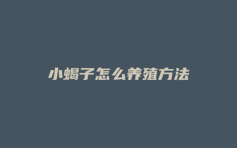 小蝎子怎么养殖方法