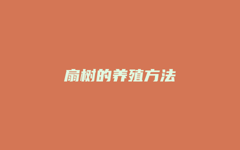 扇树的养殖方法