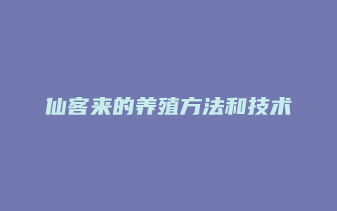 仙客来的养殖方法和技术