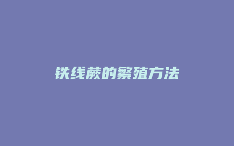 铁线蕨的繁殖方法