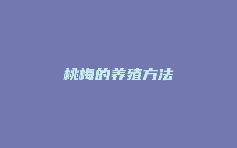 桃梅的养殖方法