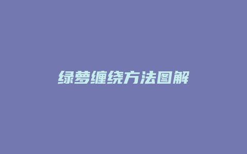 绿萝缠绕方法图解