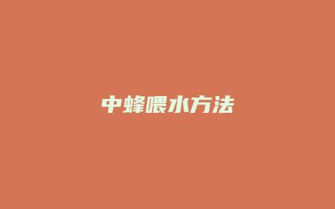 中蜂喂水方法