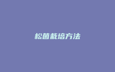 松菌栽培方法