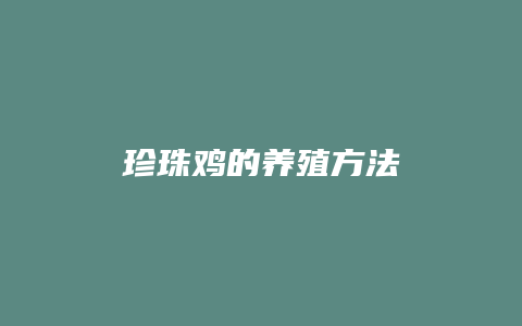 珍珠鸡的养殖方法