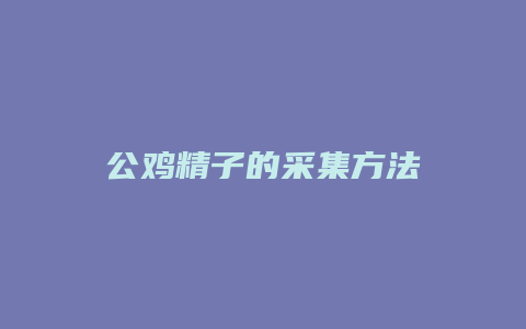 公鸡精子的采集方法