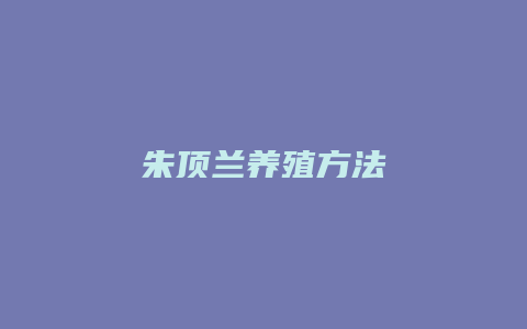 朱顶兰养殖方法