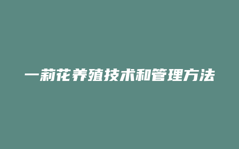 一莉花养殖技术和管理方法