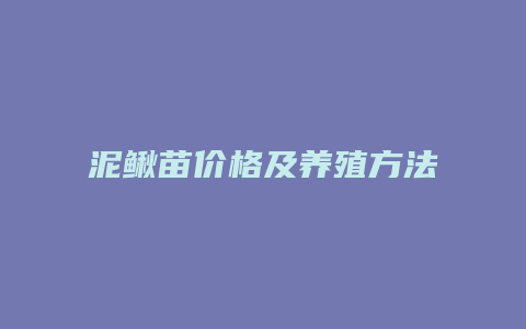 泥鳅苗价格及养殖方法