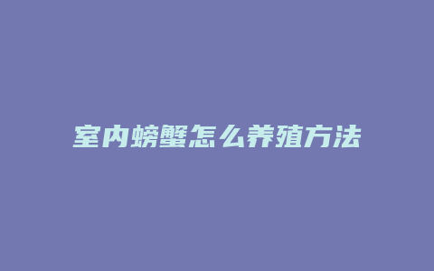 室内螃蟹怎么养殖方法