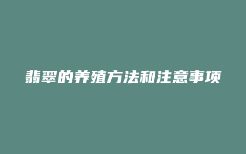 翡翠的养殖方法和注意事项