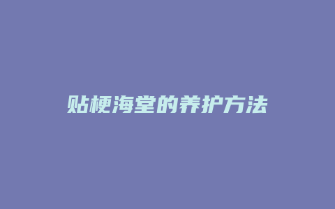 贴梗海堂的养护方法