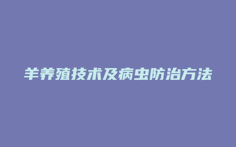 羊养殖技术及病虫防治方法