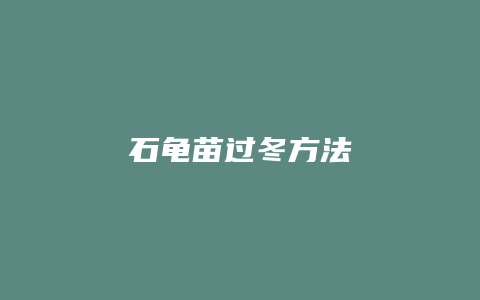 石龟苗过冬方法