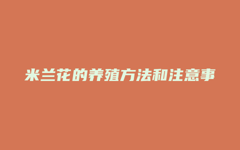 米兰花的养殖方法和注意事项