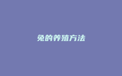 兔的养殖方法