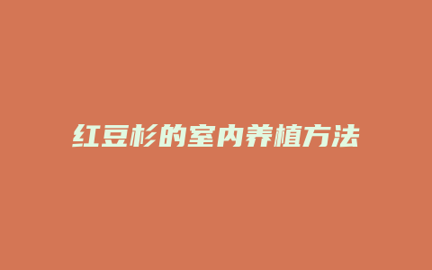 红豆杉的室内养植方法