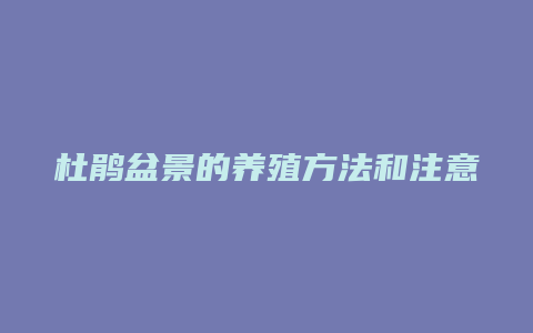 杜鹃盆景的养殖方法和注意事项