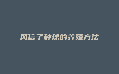 风信子种球的养殖方法