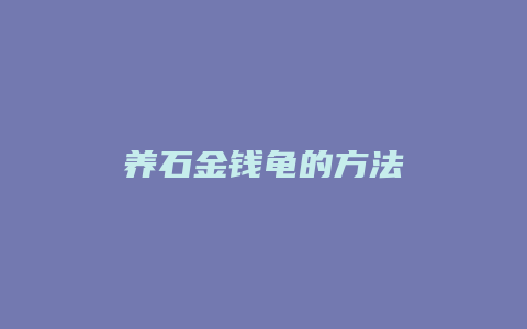 养石金钱龟的方法