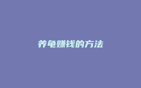 养龟赚钱的方法