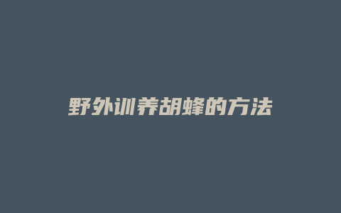 野外训养胡蜂的方法