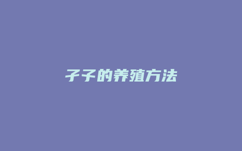 孑孓的养殖方法