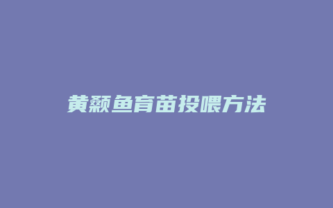 黄颡鱼育苗投喂方法