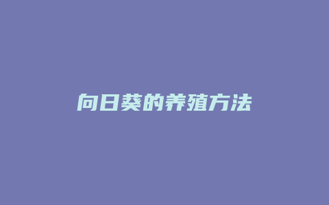 向日葵的养殖方法