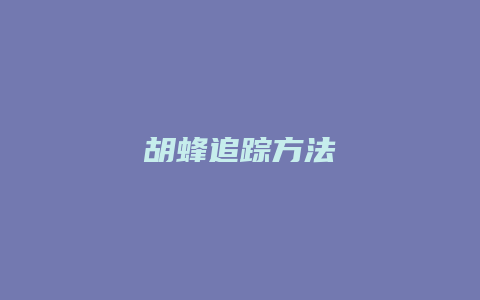 胡蜂追踪方法