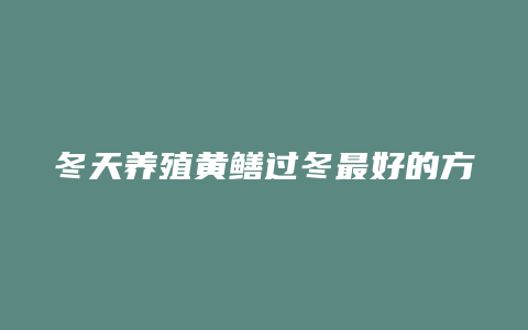 冬天养殖黄鳝过冬最好的方法