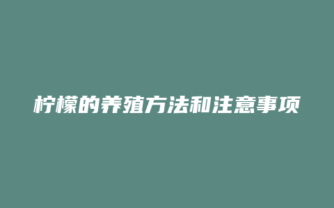 柠檬的养殖方法和注意事项