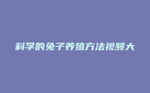 科学的兔子养殖方法视频大全图片