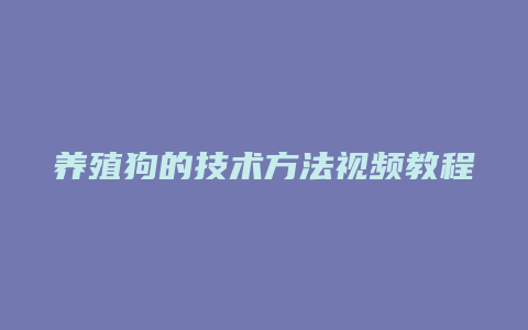 养殖狗的技术方法视频教程