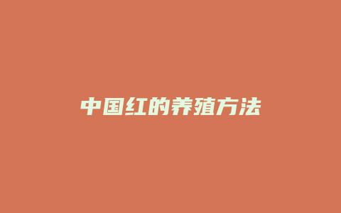 中国红的养殖方法