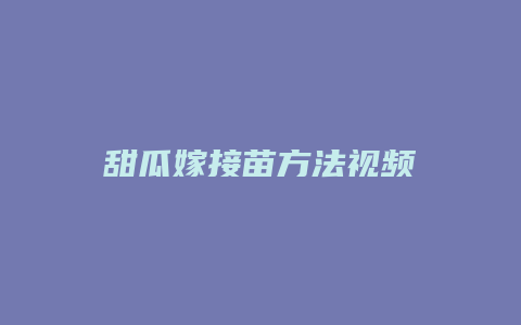 甜瓜嫁接苗方法视频