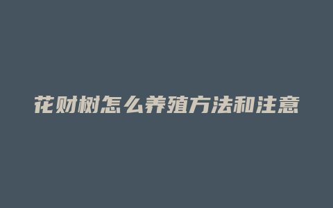 花财树怎么养殖方法和注意事项